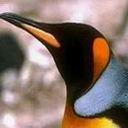 Pajarito 9